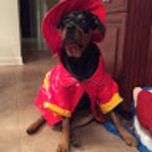 Meet your Posher, Soleil